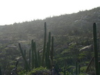 2007 10-Aruba Canyon